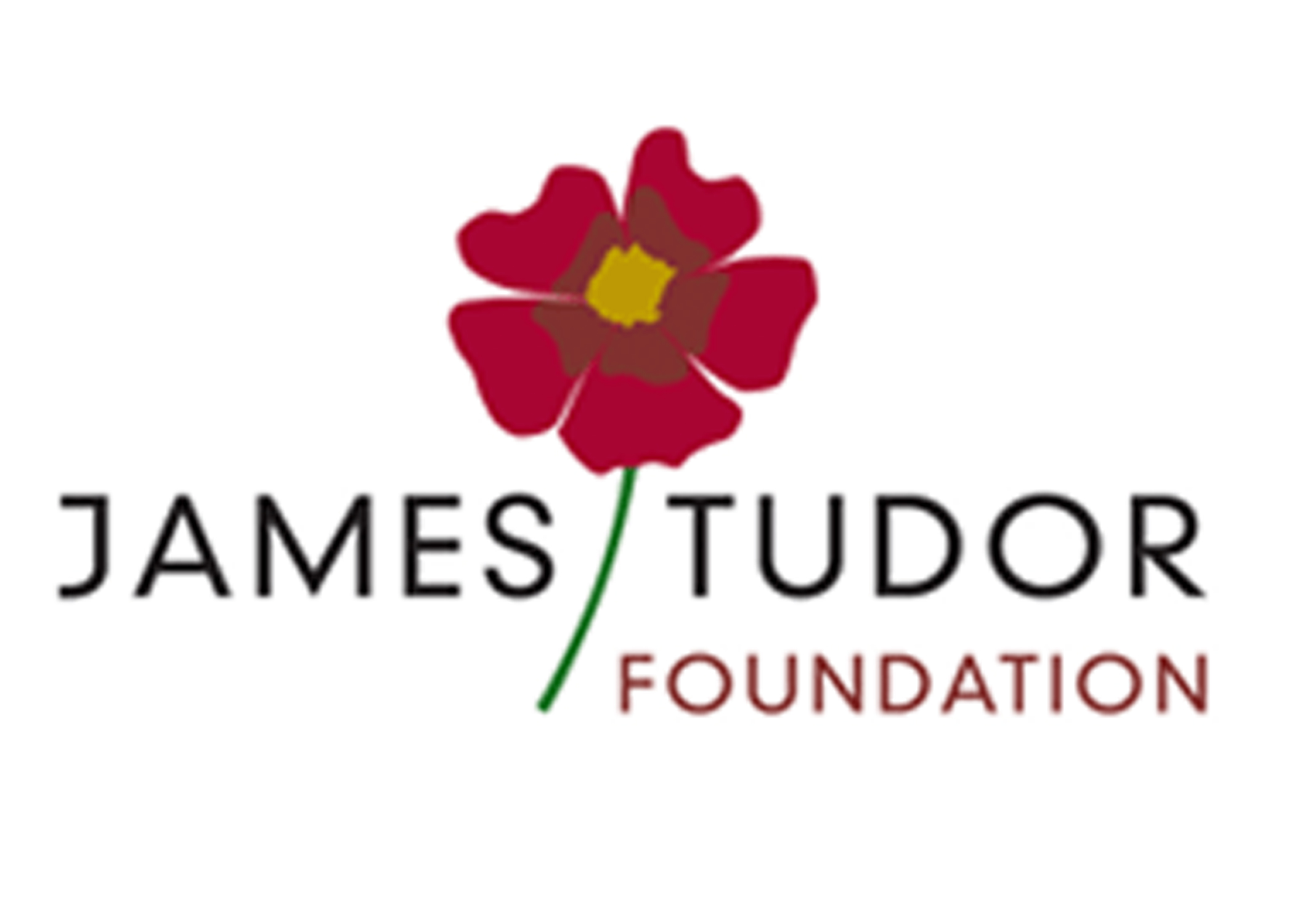 James-Tudor-Foundation